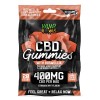 Hemp Bombs Boswellia CBD Gummies (Joint Support)